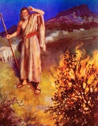 Ngày 28 - Đất Thánh