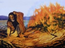 Ngày 21 - Lời Cầu Nguyện Của Môise - Người Trung Gian