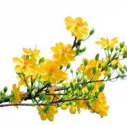 Lời Chúc Và Cầu Nguyện