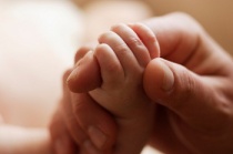 Giá Trị Một Cuộc Đời