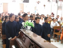 Cần Thơ: HT An Phú Cử Hành Thánh Lễ Báp-Tem Cho 15 Tín Hữu Cầu Lễ