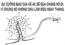 Ngày 28 - Cái Sừng Tự Mọc Lên
