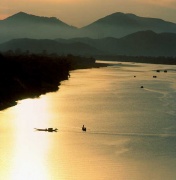 Tình Quê Bốn Mùa