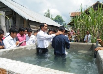 Báp-têm Cho Tín Hữu Người Mông Tại Huyện Êa Súp, Tỉnh Đăk Lăk