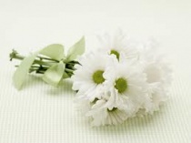Ngày 28 – Y-Sác Qua Đời