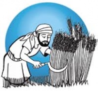 Ngày 11 – Ẩn Dụ Về Cái Đèn, Hạt Giống Và Hạt Cải