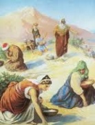 Ngày 24 – Một Ô-Me Cho Mỗi Người