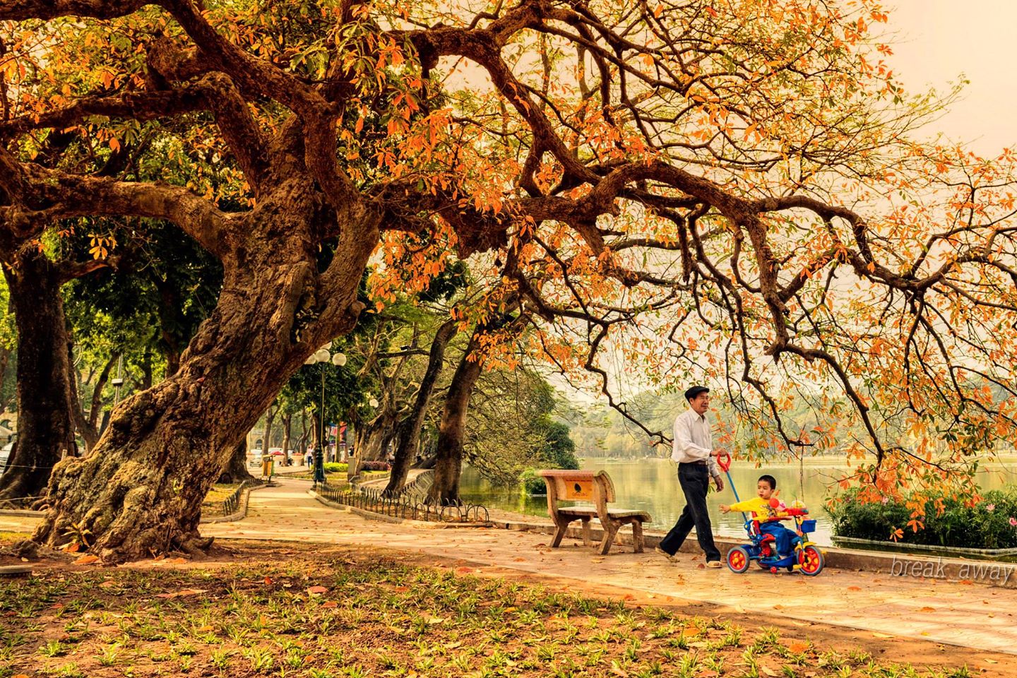 Sắc Thu