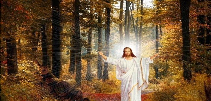 Ngày 30 - Đấng Christ, Trái Đầu Mùa Của Sự Phục Sinh