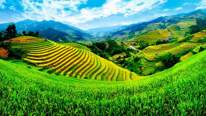 Việt Nam Quê Hương Tôi