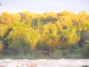 P1070347