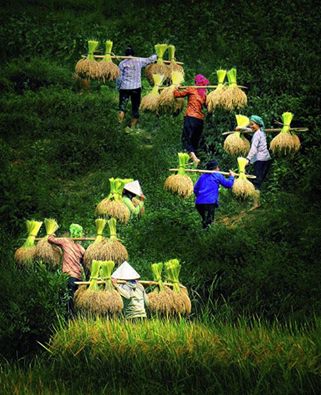 Những Người Nữ Của Đức Chúa Trời