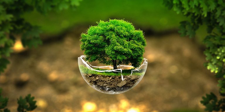 Nghệ Sĩ Và Tác Phẩm