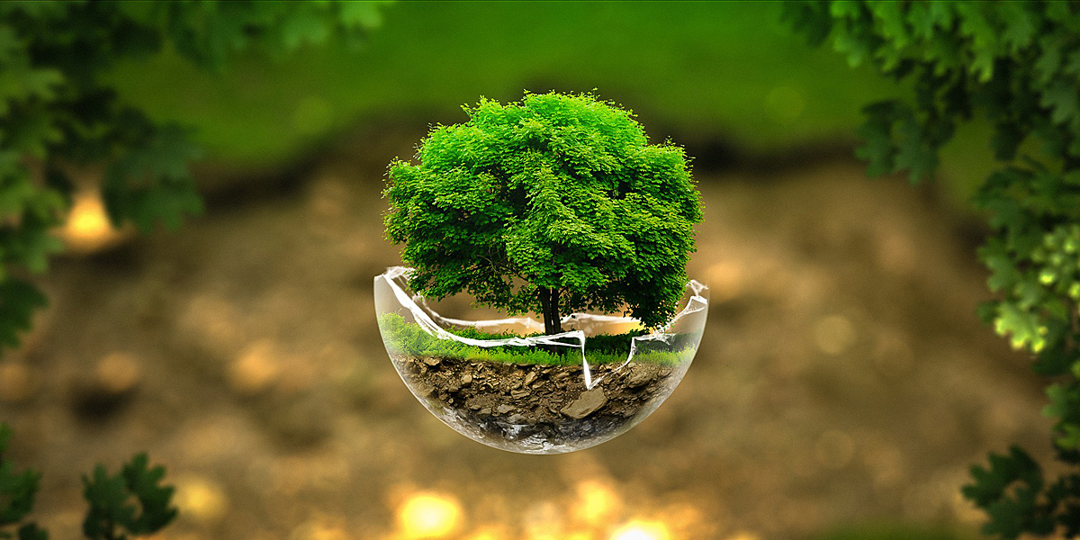Nghệ Sĩ Và Tác Phẩm