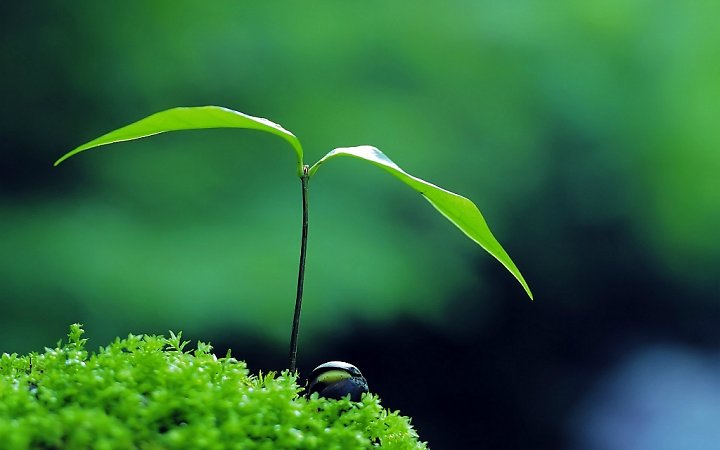 Tôi Đã Từng "Gieo Giống" Cách Sai Lầm