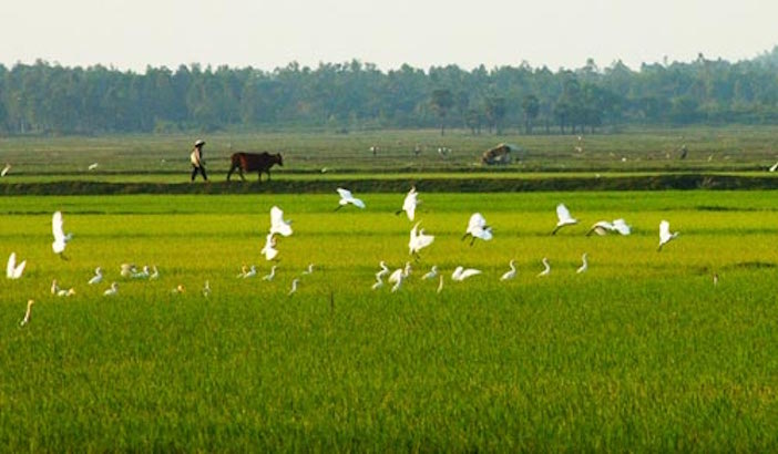 Quê Hương Mến Yêu