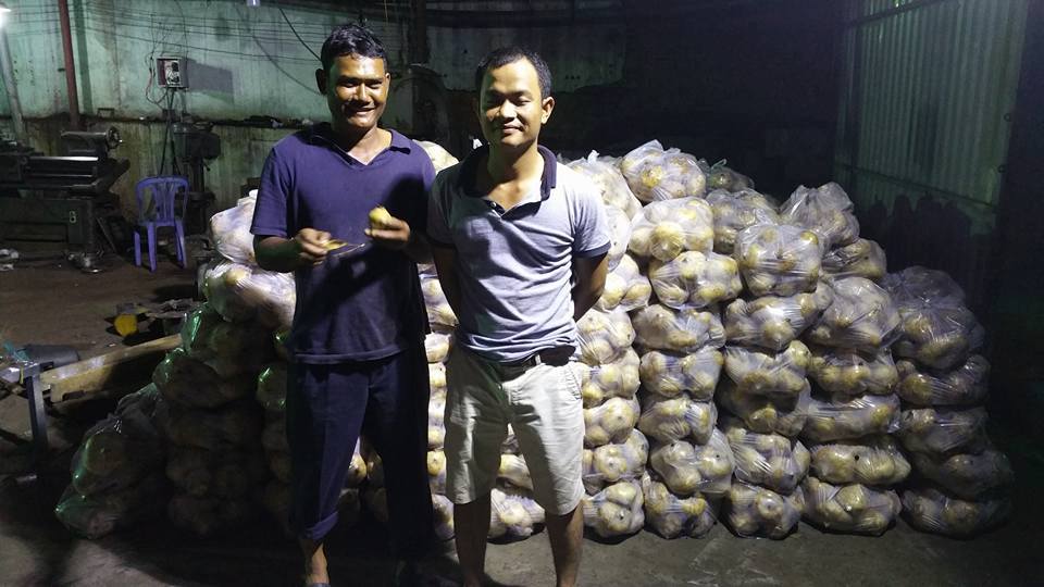 Tín Hữu Sắc Tộc Stiêng Điêu Đứng Trước 100 Tấn Củ Sắn Khó Tiêu Thụ