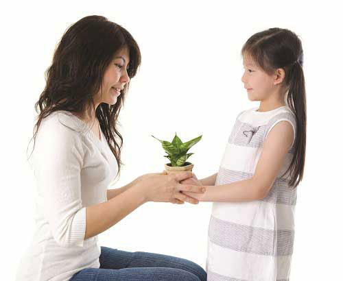 Gieo Những Hạt Đậu - Gieo Lời Chúa - Cầu Nguyện Cùng Con Trước Giờ Ngủ