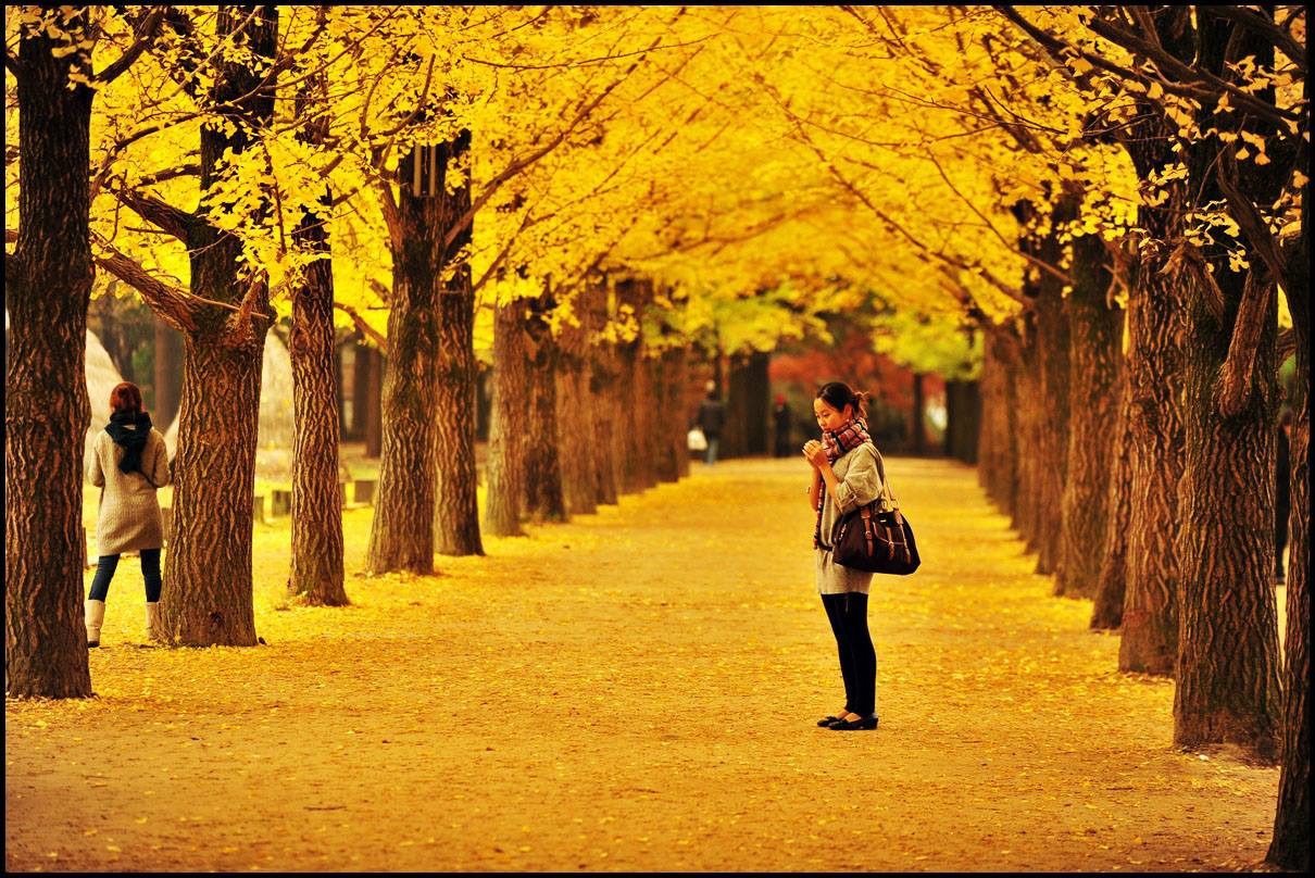 Thu Tạ Ơn
