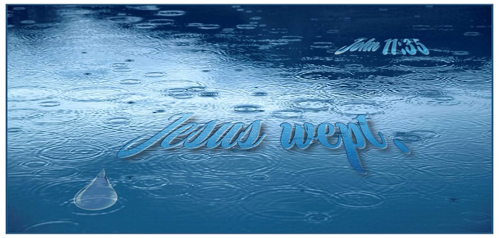 Ngày 14 - Đức Chúa Jêsus Khóc
