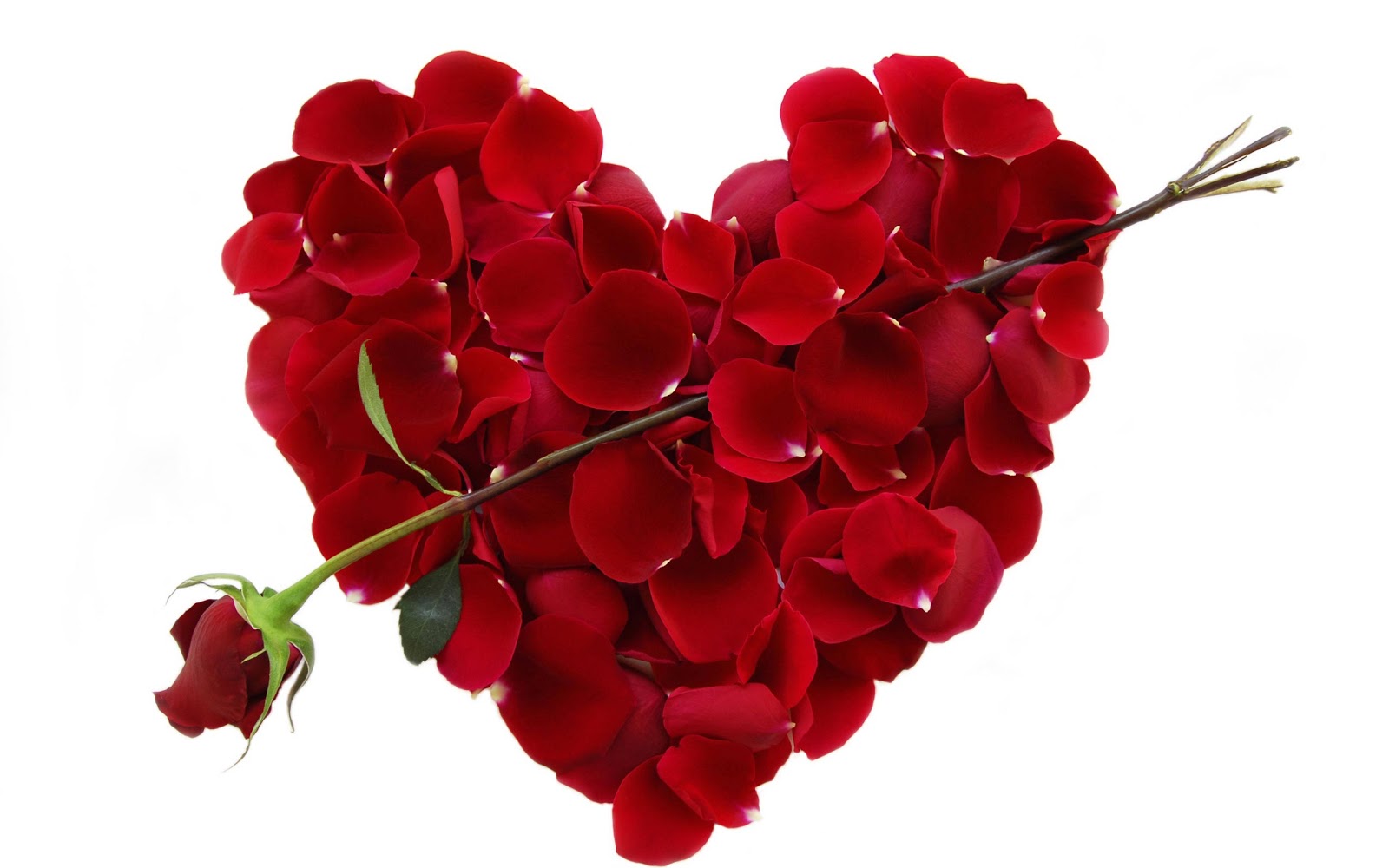 Cội Nguồn Valentine