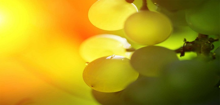 Ngày 22 - Chúa Ôi, Xin Chiếu Sáng Mặt Ngài Trên Chúng Con