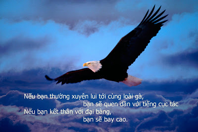 Sự Thành Công Thật