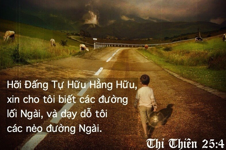 XIN CHA BAN CHO CHÚNG CON SỰ DẪN DẮT