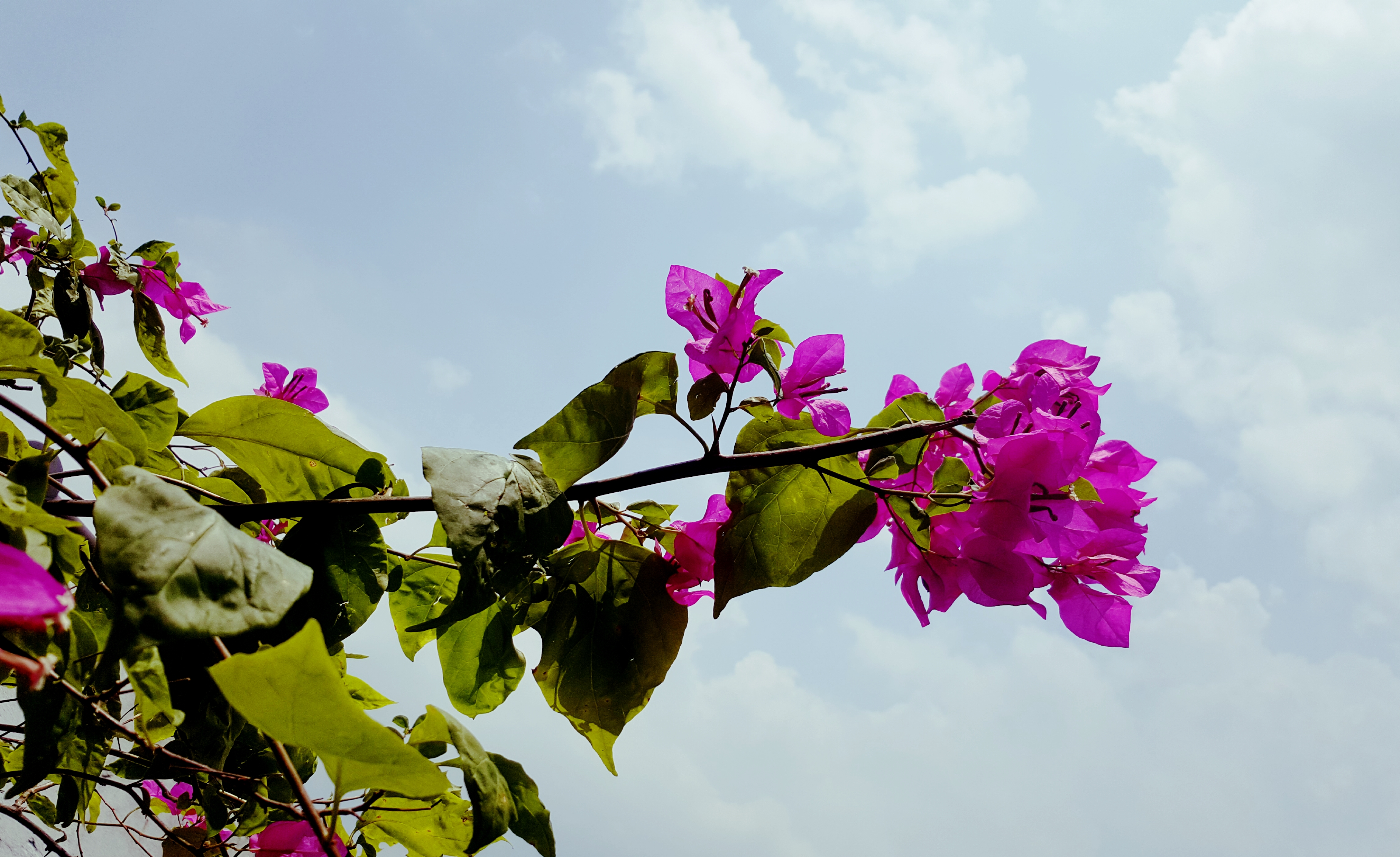 Lời Của Chúa Giấy Nào Ghi Bút Nào Tả....