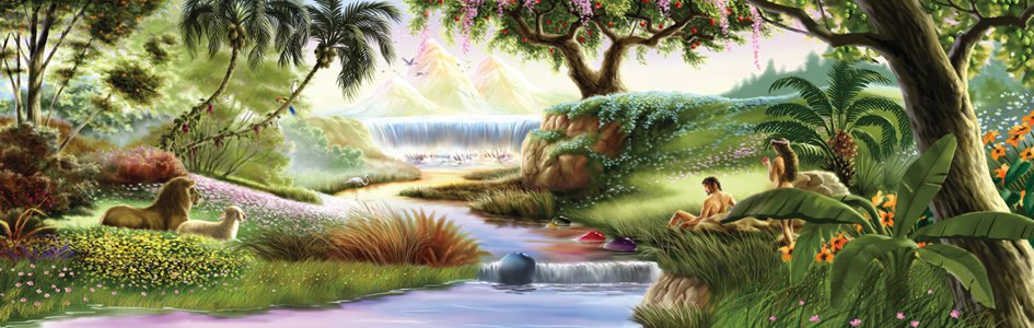 Trả Lời Các Câu Hỏi Trong Sách Sáng Thế Ký – Phần 13: Thực Vật Có Phải Là Vật Sống Không?