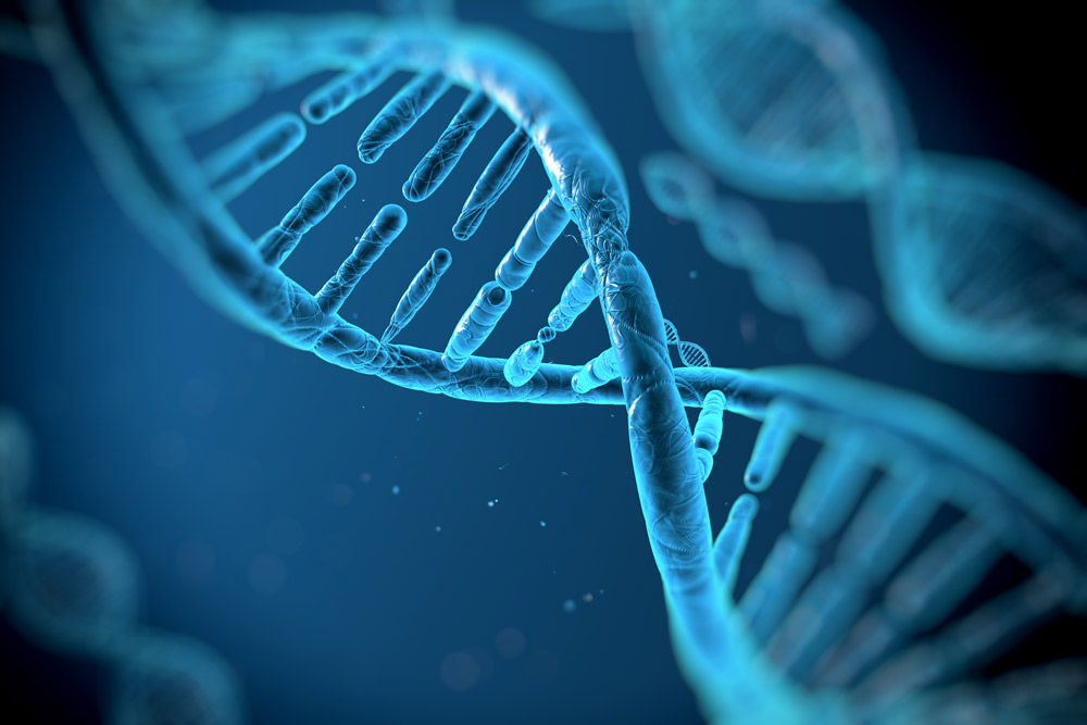 EVOLUTION 2.0 PRIZE – Giải thưởng 5 triệu USD cho thuyết tiến hóa - Phần 3: Ai Đã Viết Ra Mã DNA