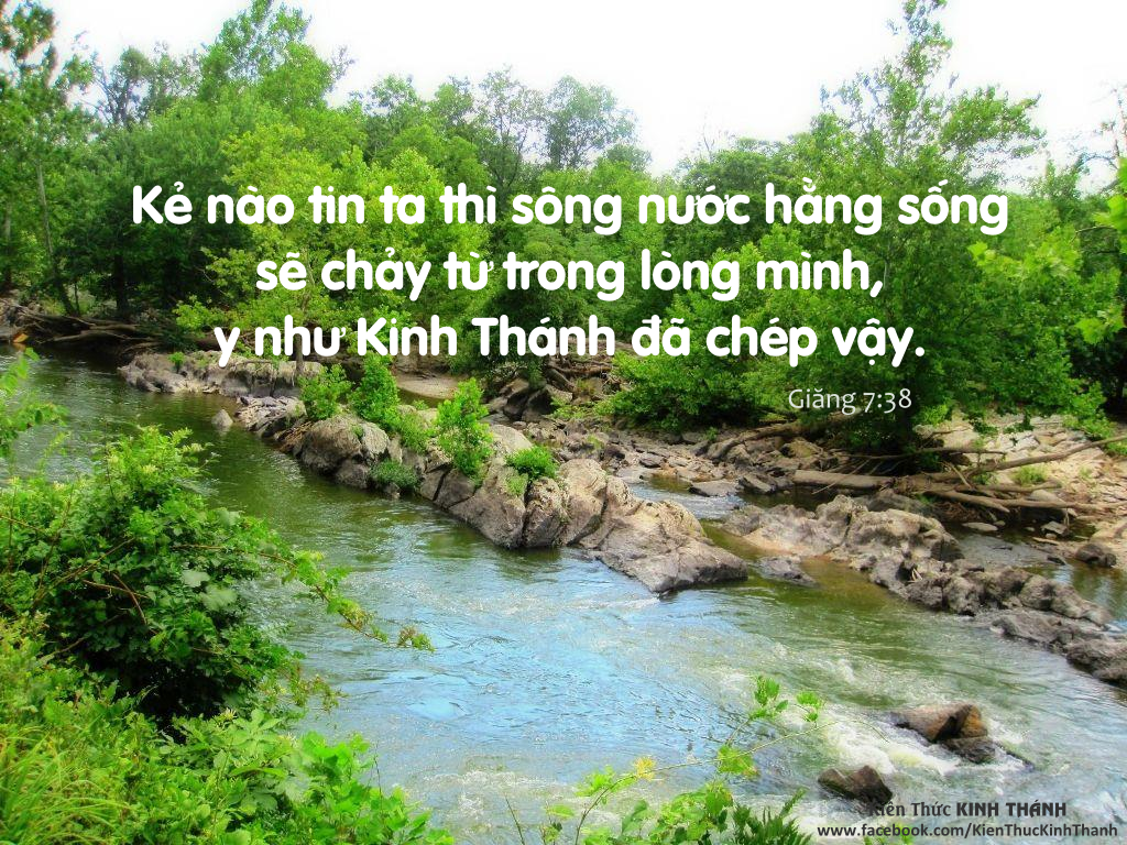 DÒNG SÔNG LINH CHÚA