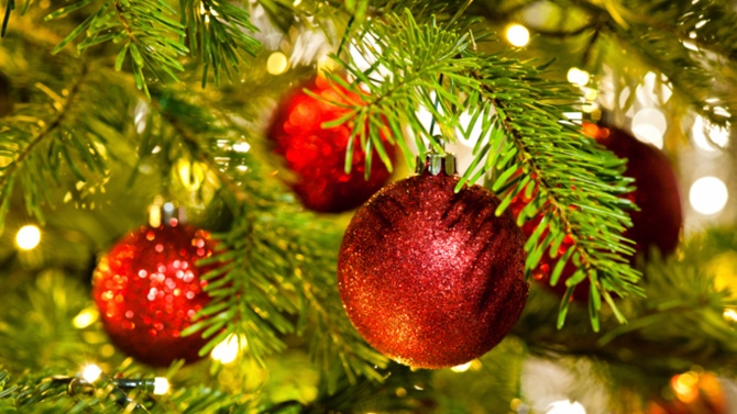 Cây Thông Noël: Lịch Sử và Nguồn Gốc