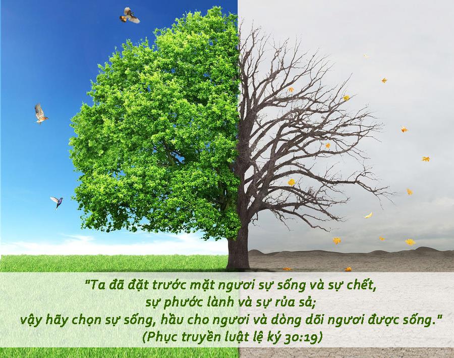 Ngày 21: Cầu Nguyện Cho Con Tránh Khỏi Game Và Tệ Nạn Xã Hội