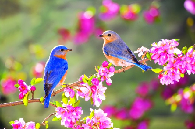 Cơ Đốc Nhân Ăn Tết