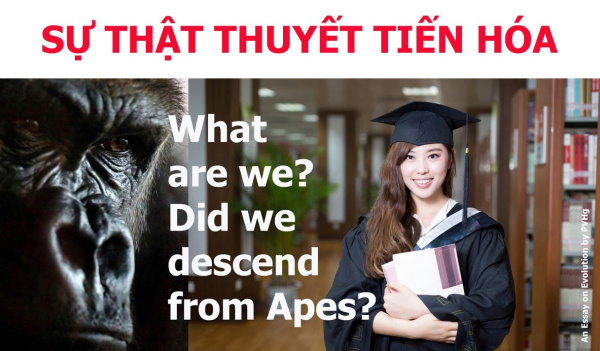 Xuất Thân Từ Vượn - Phần 2 và Hết: Một Lý Thuyết Tưởng Tượng Hoang Đường