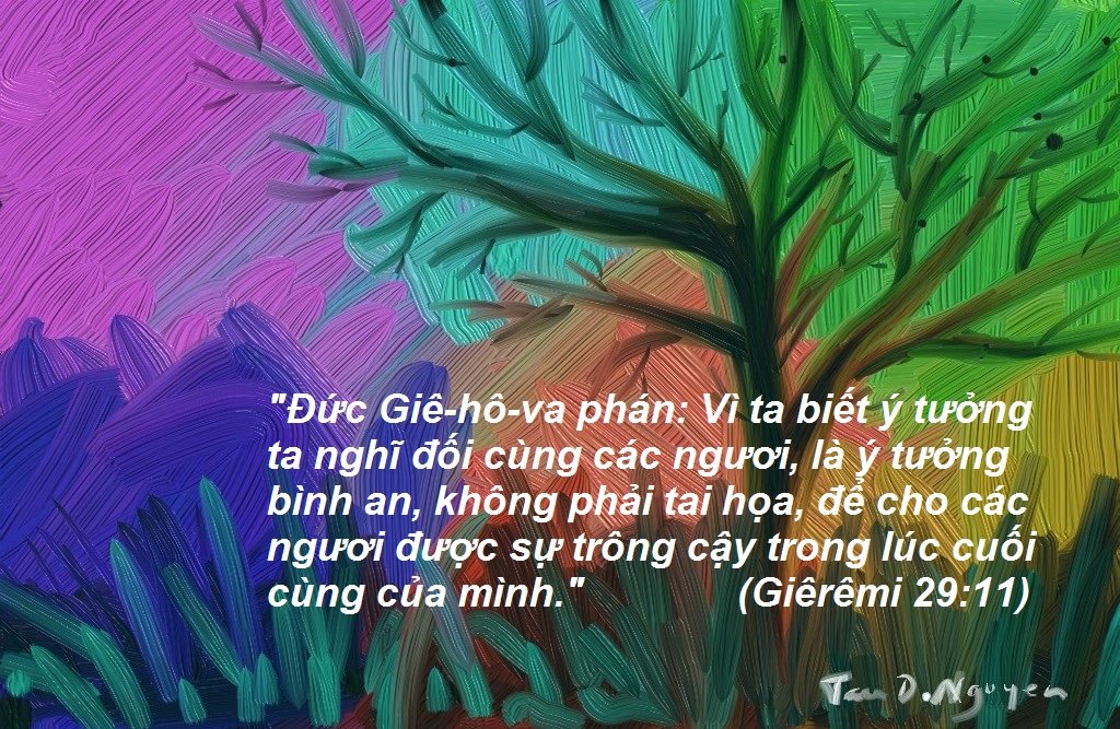 Mạng Xã Hội Cho Thấy Giê-rê-mi 29:11 Thế Chỗ Giăng 3:16 Là Câu Kinh Thánh Được Chia Sẻ Nhiều Nhất