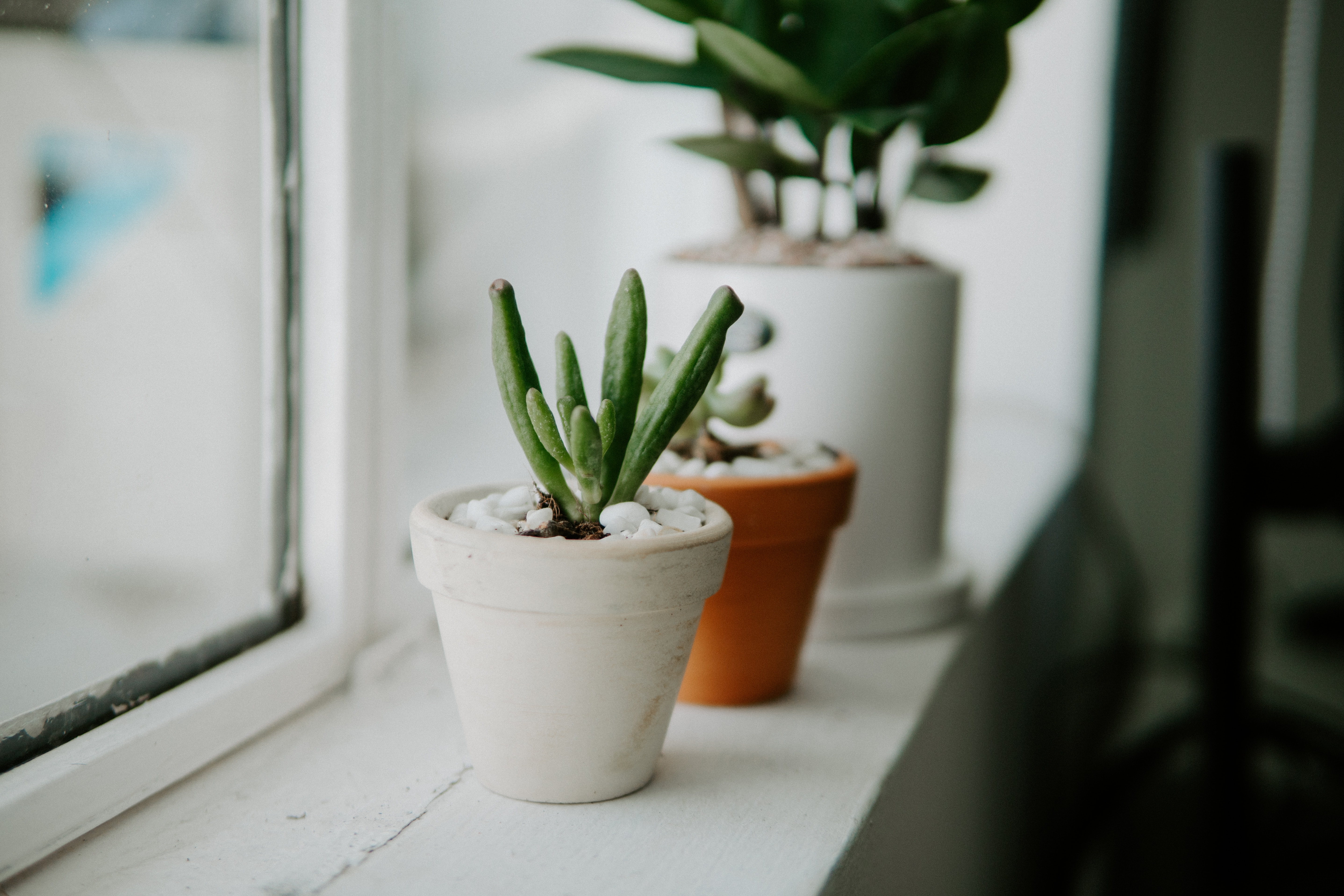 Làm Thế Nào Để Tôi Biết Rằng Tôi Có Được Tình Yêu Của Chúa?