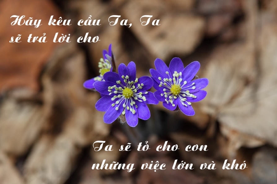 Học Cầu Nguyện