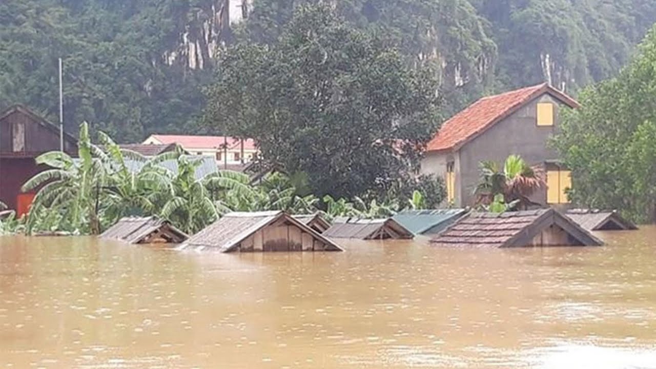 Bài thơ: Khóc cho quê hương