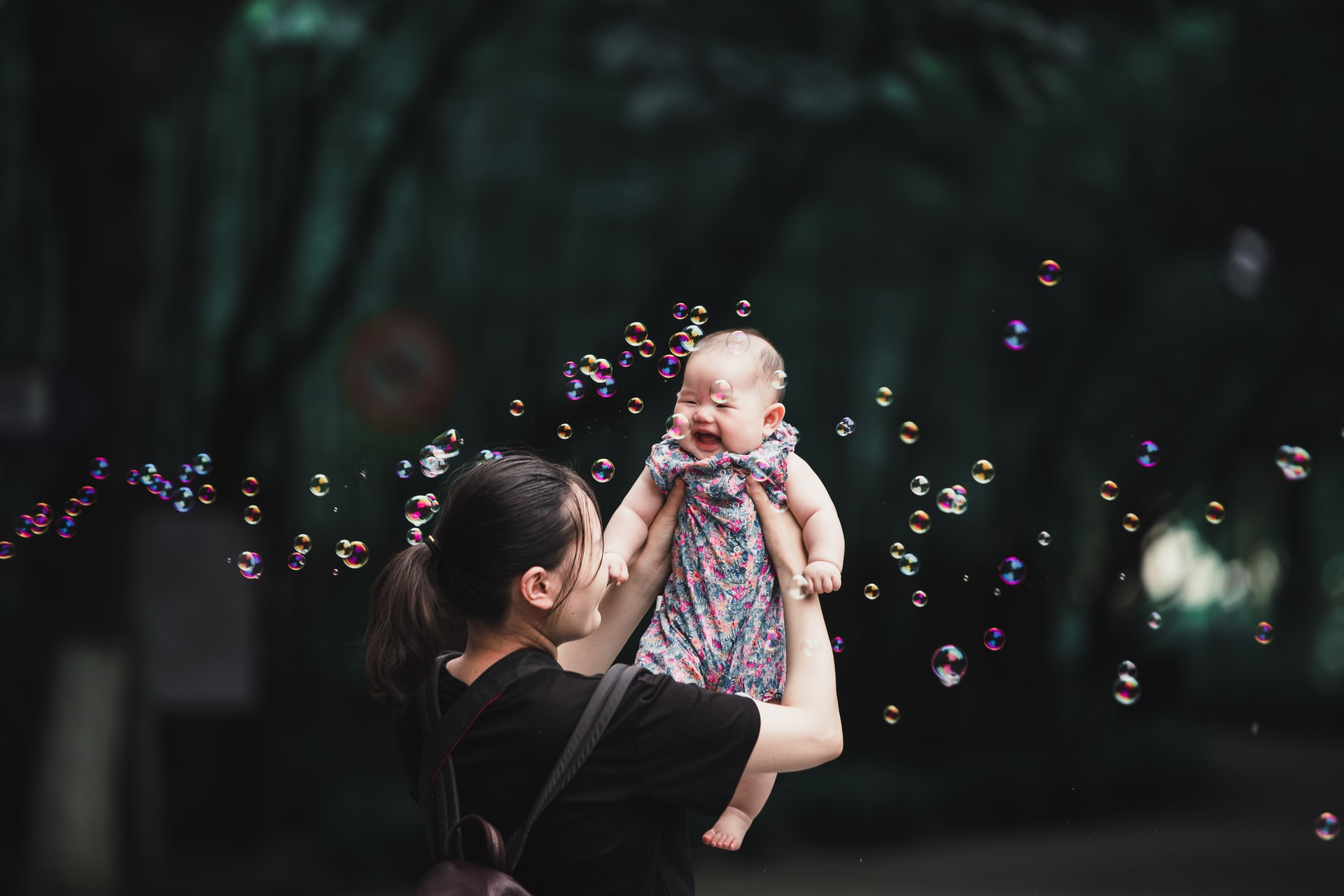 3 Năm Thành Lập Bảo Vệ Mầm Sống Việt Nam