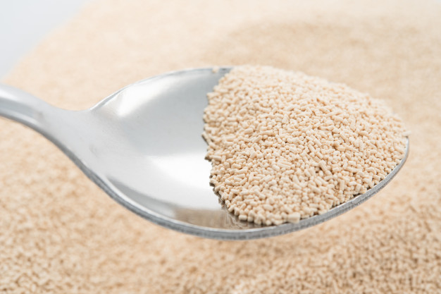 Sự Kiêu Ngạo Thổi Phồng Bạn Ra Sao