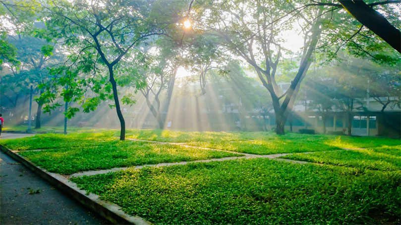 Radio Mana Thuộc Linh – Phần 115: Sự Yên Lặng Của Chúa