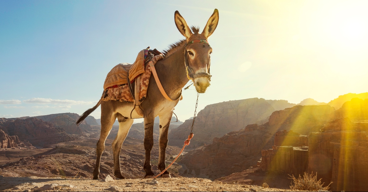 Radio Mana Thuộc Linh – Phần 150: Chúa Cần Dùng