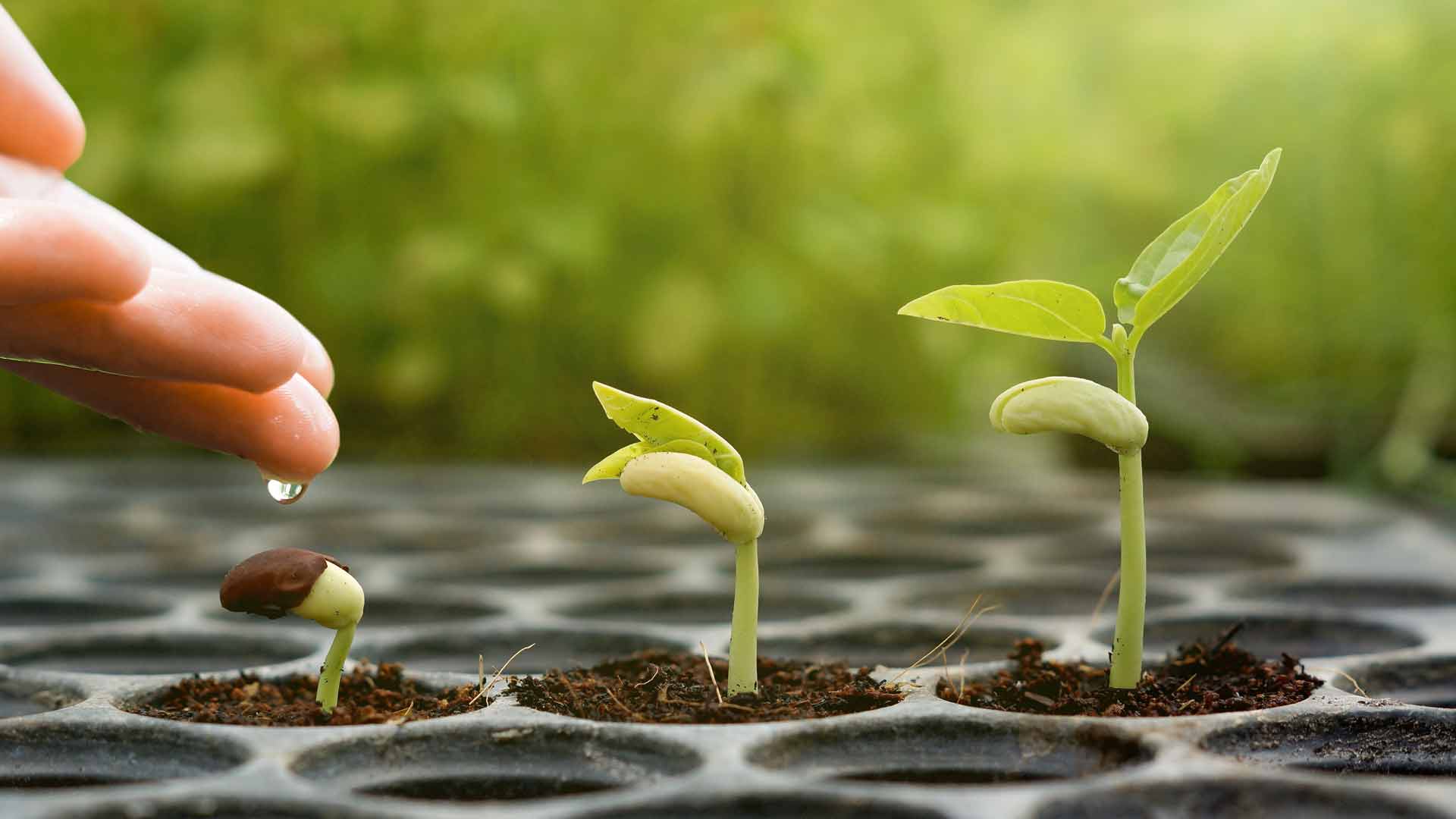 Thay Đổi Cần Thời Gian