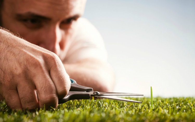 Vấn Đề Của Tính Cầu Toàn