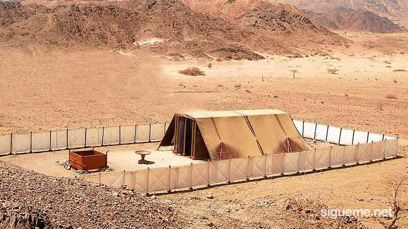 Sa Mạc Israel - Những Câu Chuyện Từ Trong Kinh Thánh