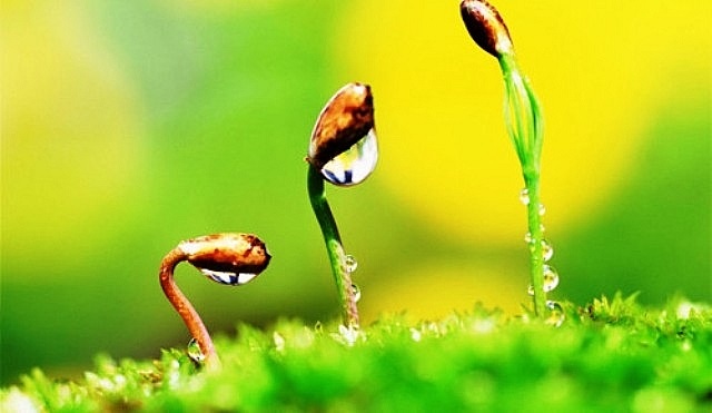 Một Sự Khởi Đầu Mới