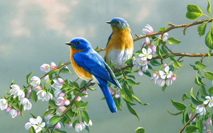 Lòng Con Cứ Tưởng Thiên Đàng Gần Đây