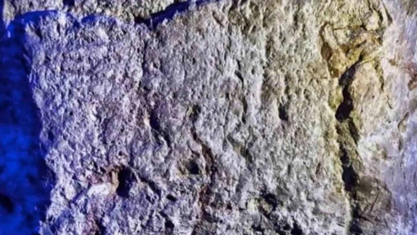 Giáo Sư Israel: Khám Phá Dòng Chữ Khắc Có Liên Quan Đến Vua Ê-xê-chia Trong Số Những Phát Hiện Khảo Cổ 'Quan Trọng Nhất' Từ Trước Đến Nay